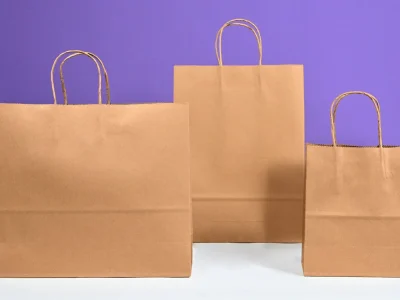 3_sizes_of_Paper_bags